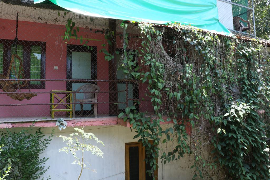Jungleparadiso Homestay Теккаді Екстер'єр фото
