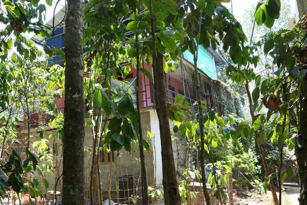 Jungleparadiso Homestay Теккаді Екстер'єр фото