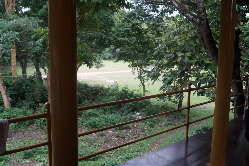 Jungleparadiso Homestay Теккаді Екстер'єр фото